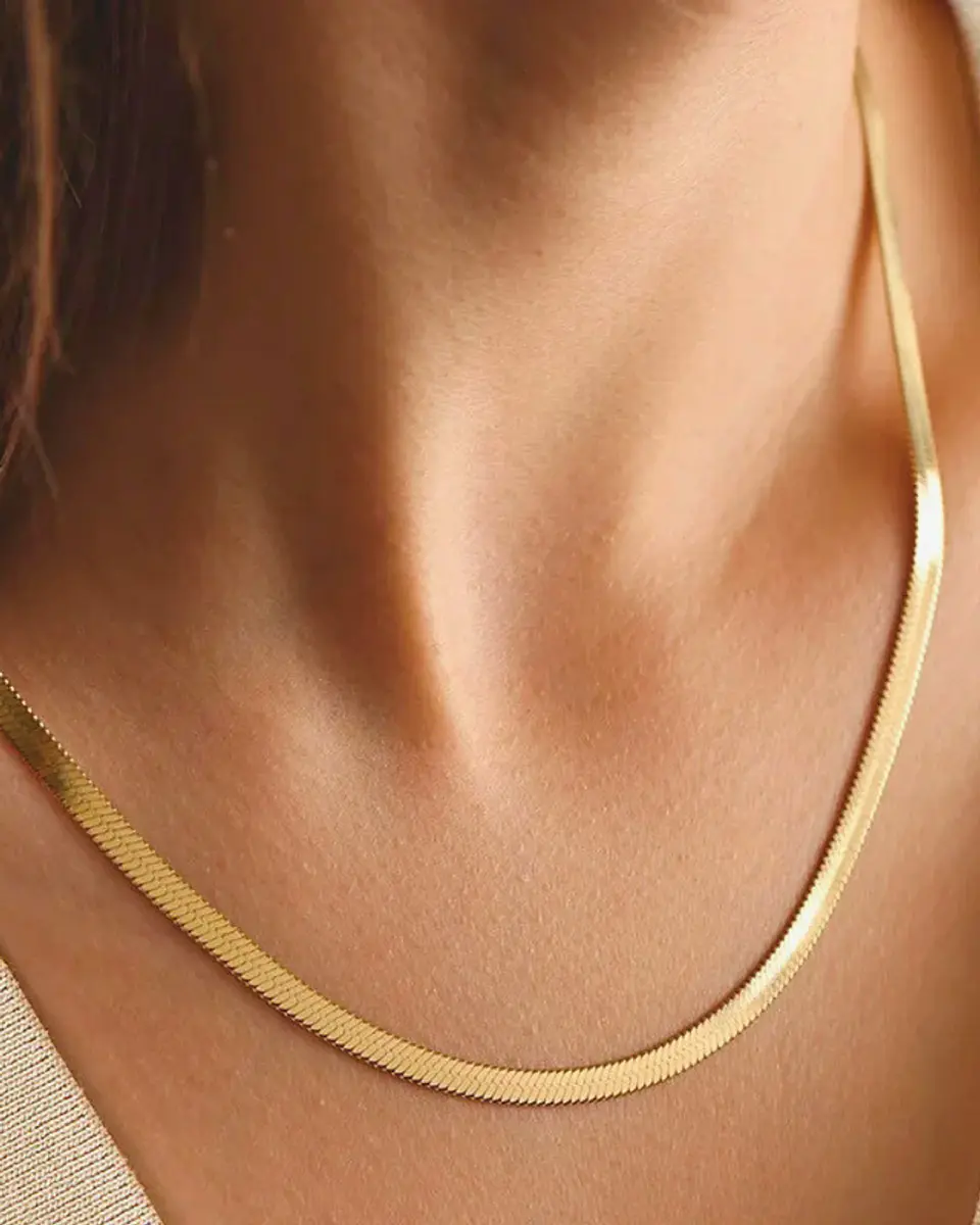Collar Cinta Clásico 2