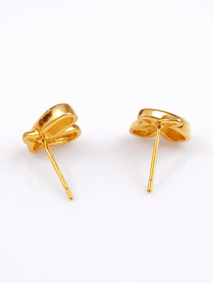 Aretes Clásico Vínculo