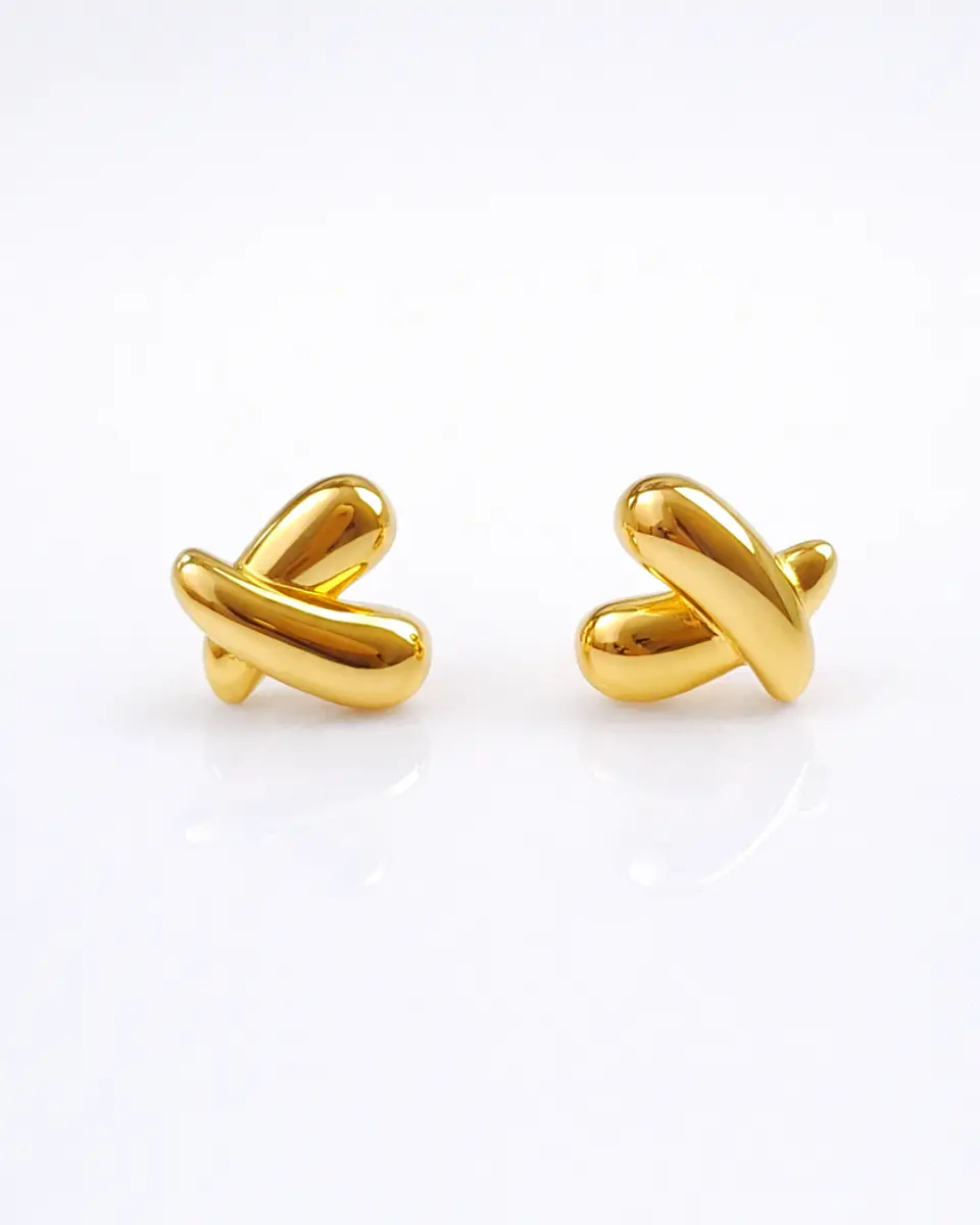 Aretes Clásico Vínculo 1