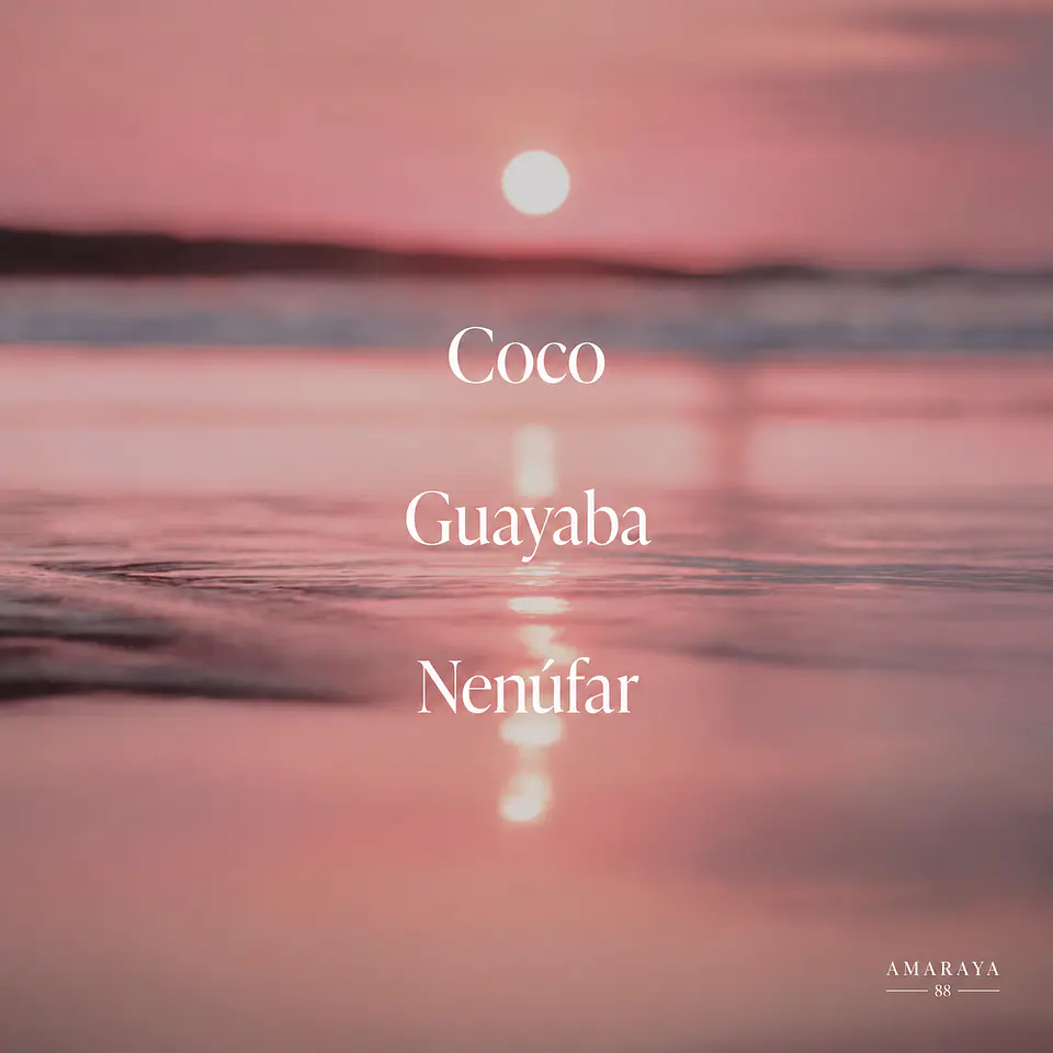 Saltair Coral Coast – Gel de ducha hidratante 2