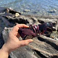Strap de cuero para lentes color Guinda - Miniatura 3