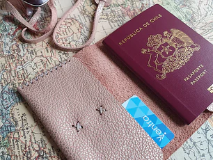 Funda para pasaporte de cuero color Rosa Plata