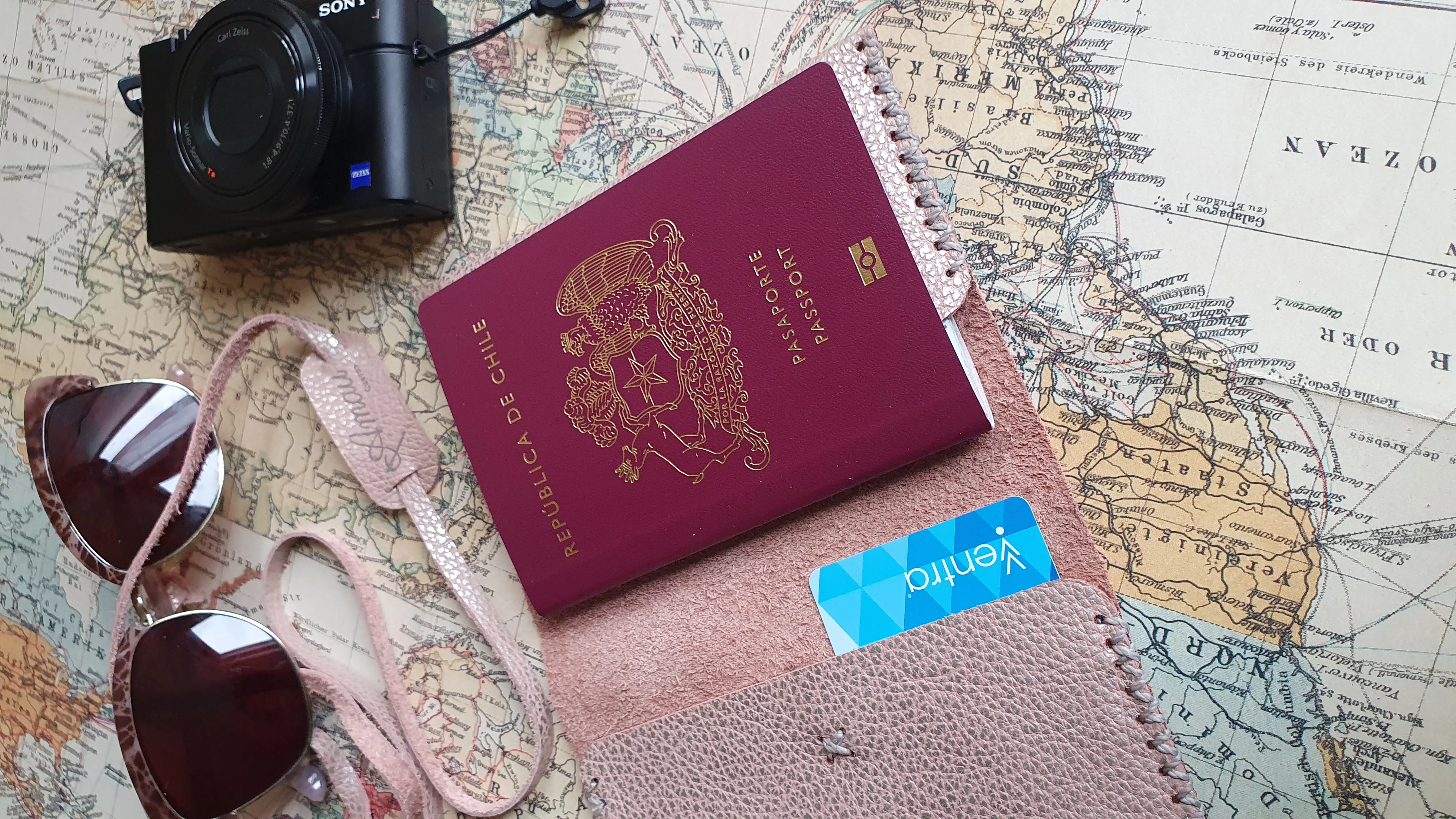 Funda para pasaporte de cuero color Rosa Plata 3