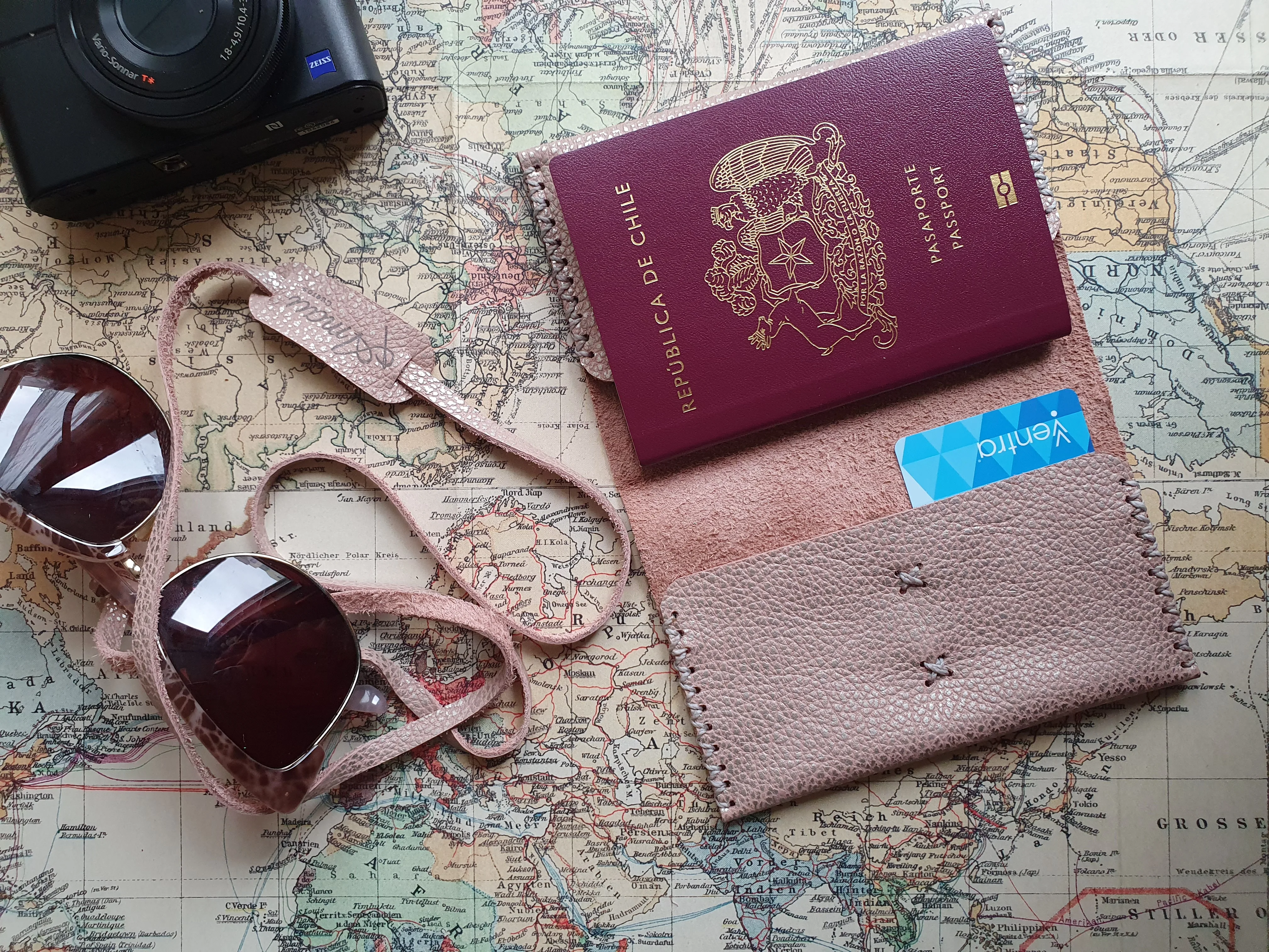 Funda para pasaporte de cuero color Rosa Plata 7