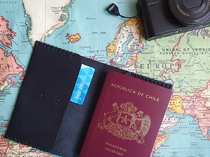 Funda pasaporte de cuero color Negro