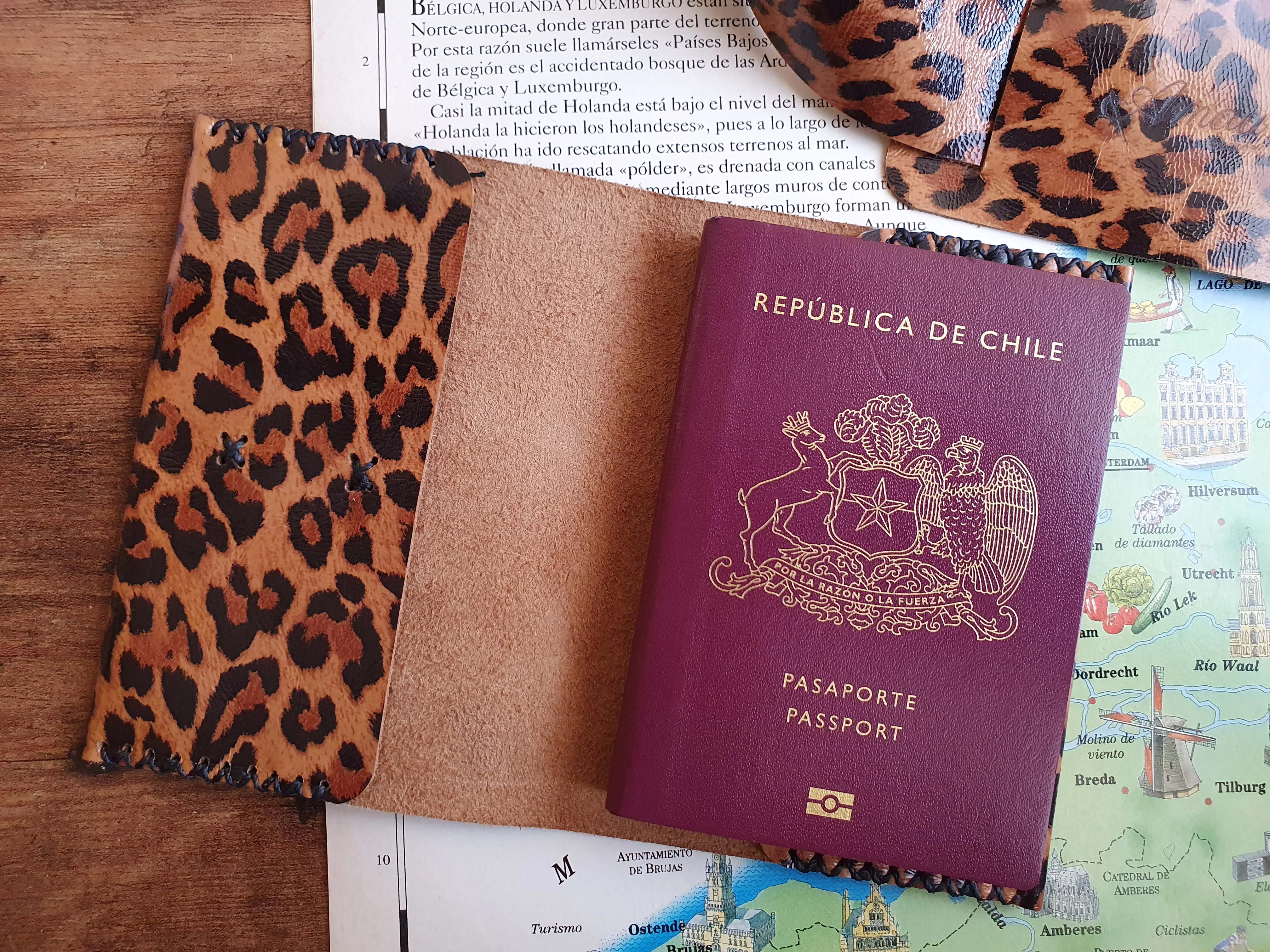 Funda pasaporte de cuero color Leopardo 1