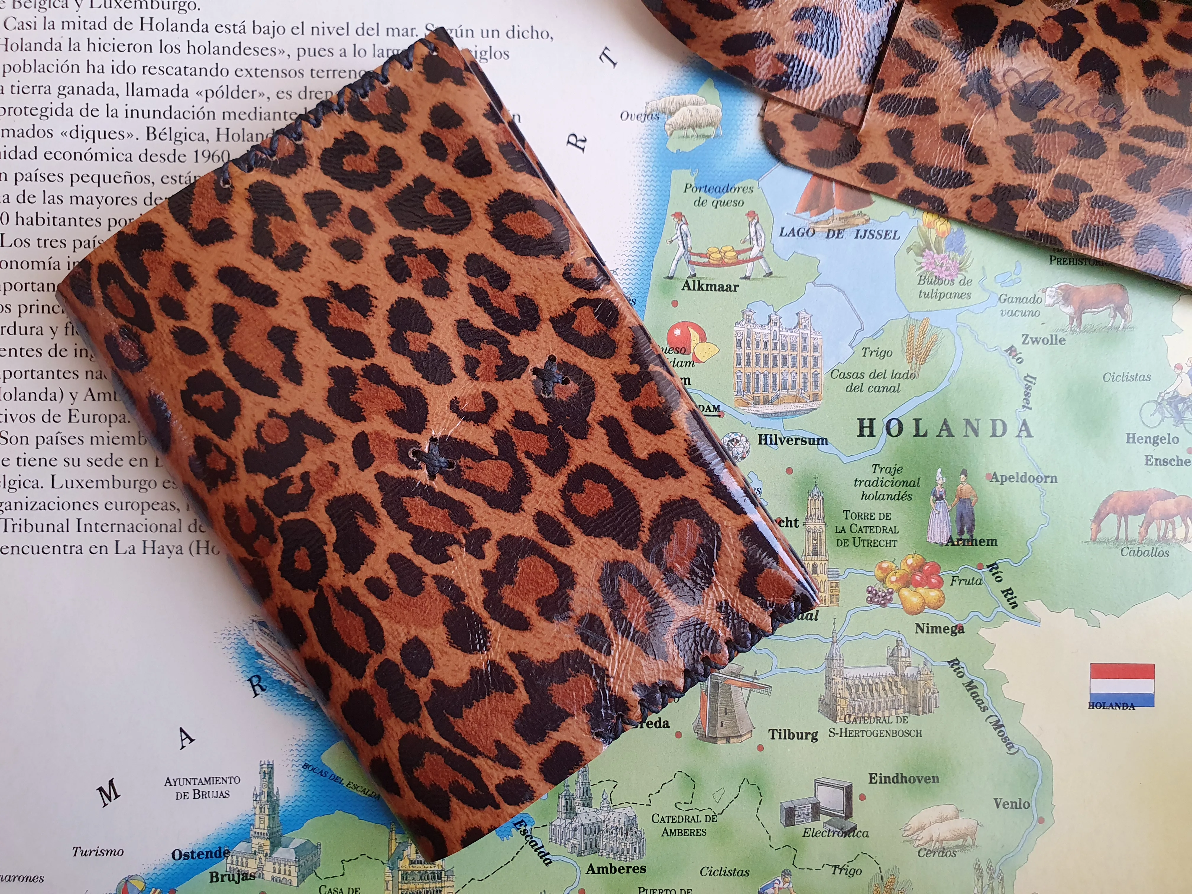Funda pasaporte de cuero color Leopardo 6