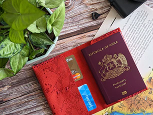 Portapasaporte color Cobra Rojo