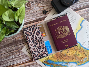 Portapasaporte color Leopardo blanco 