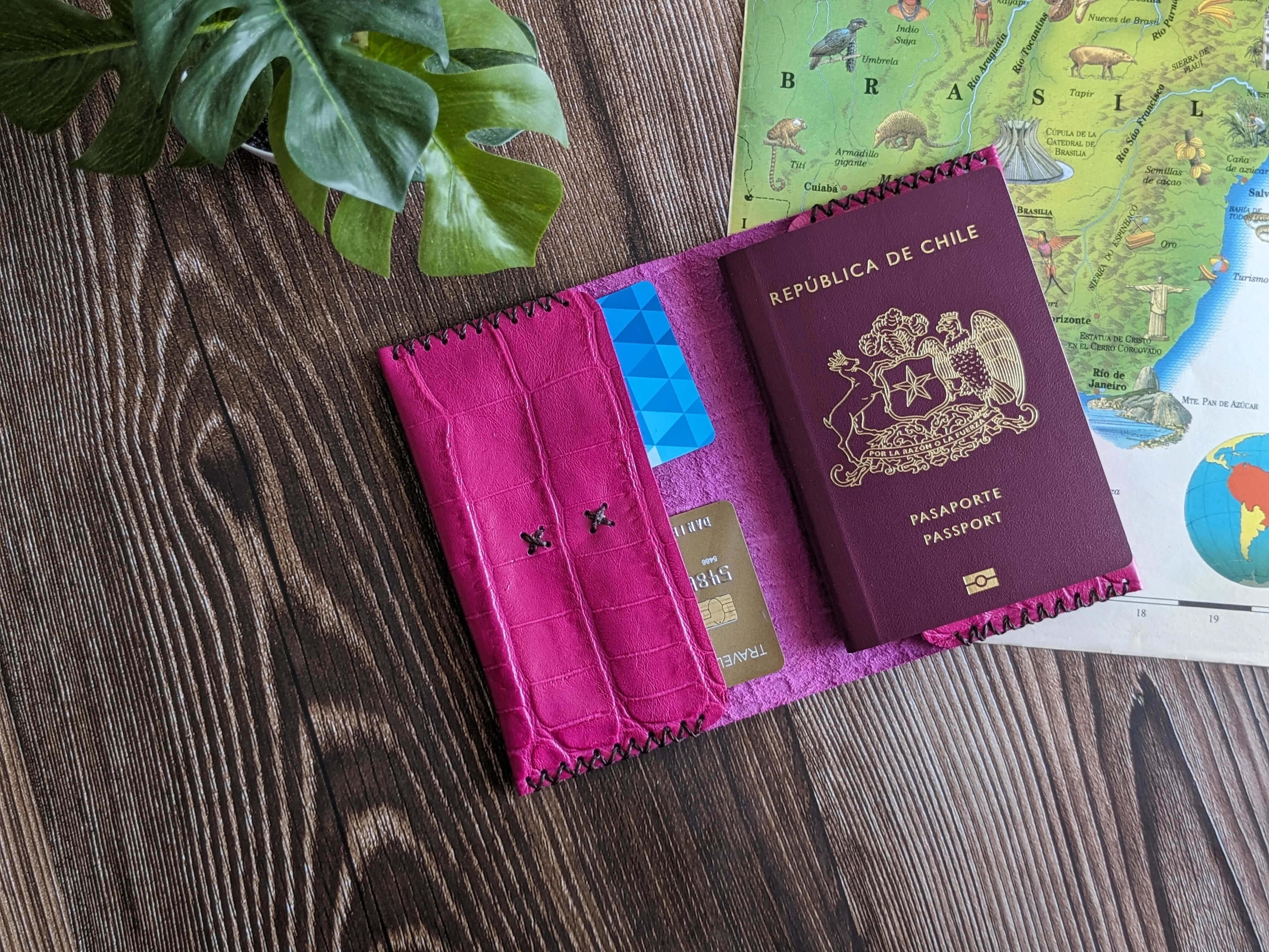 Porta pasaporte color Cobra Rosa 5