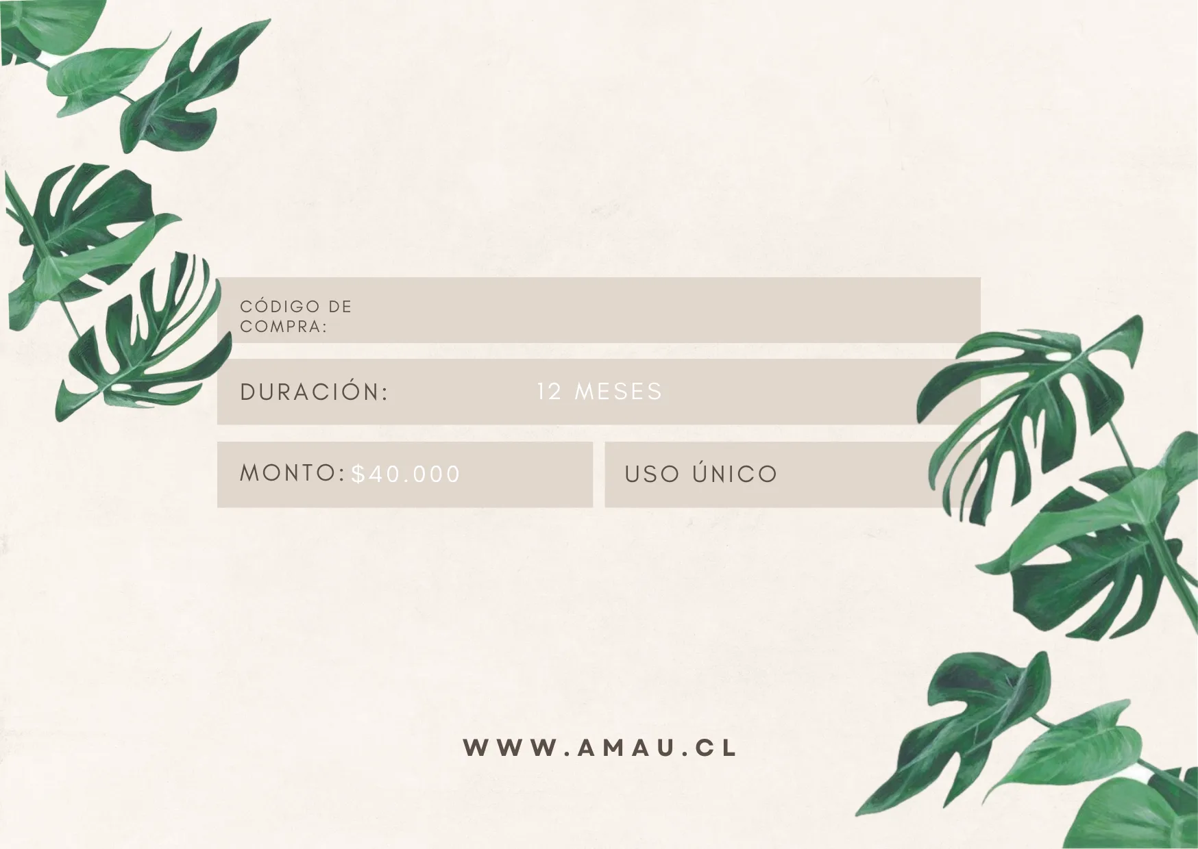 GIFT CARD DIGITAL 5