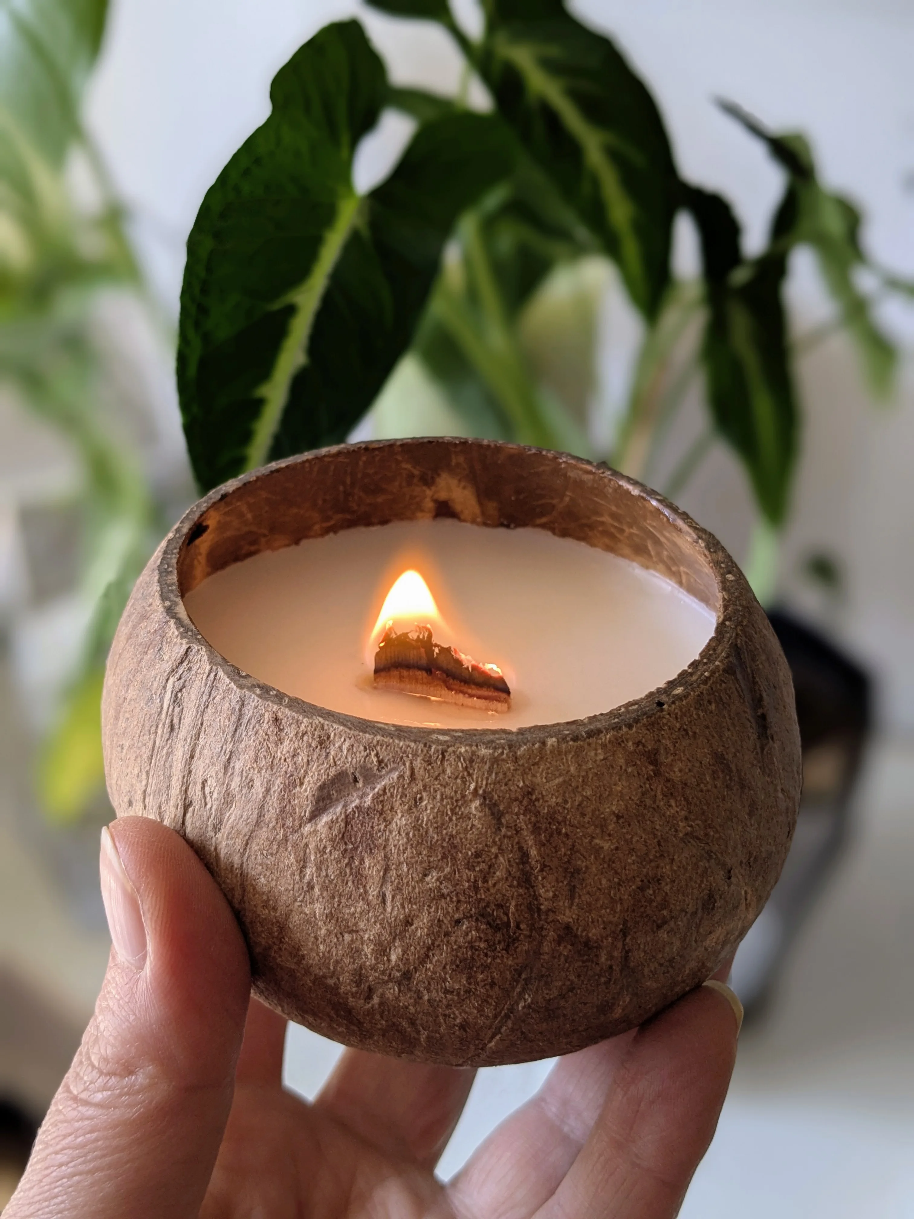 Vela decorativa aromática Coco Tropical  1