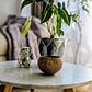Vela decorativa aromática Coco Tropical  - Miniatura 2