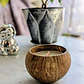 Vela decorativa aromática Coco Tropical  - Miniatura 6