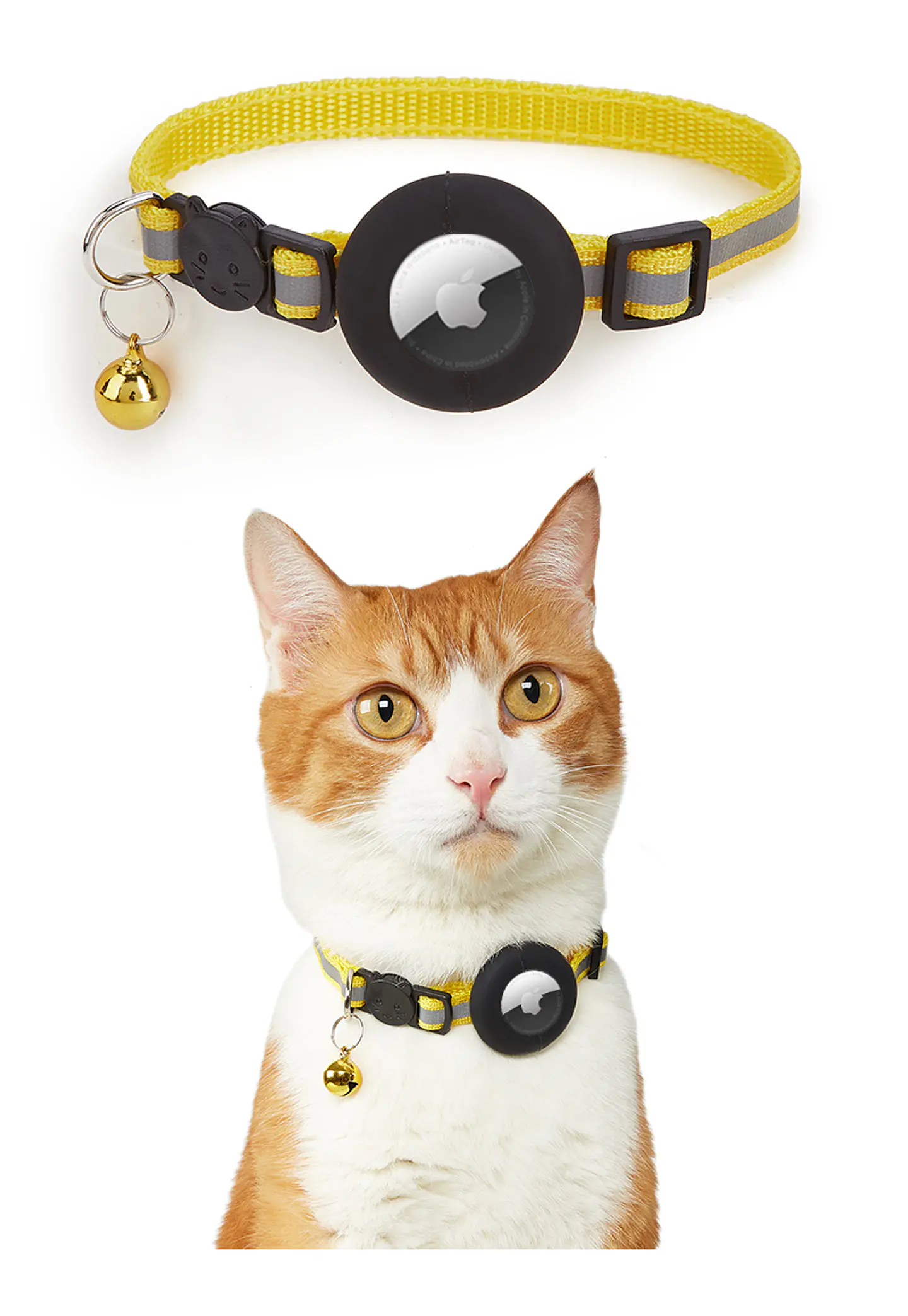 Collar para Mascotas con Soporte para Smart Tag (gps) 8
