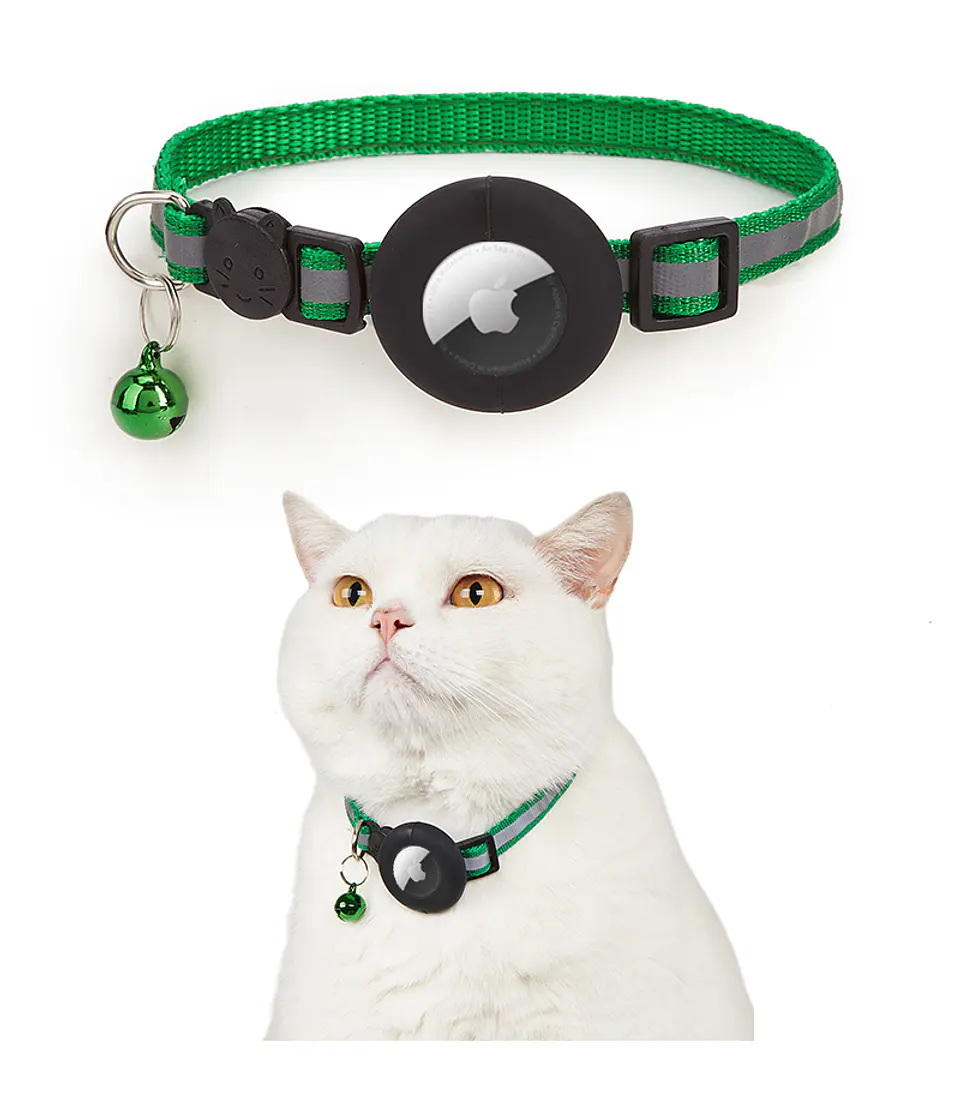 Collar para Mascotas con Soporte para Smart Tag (gps) 10