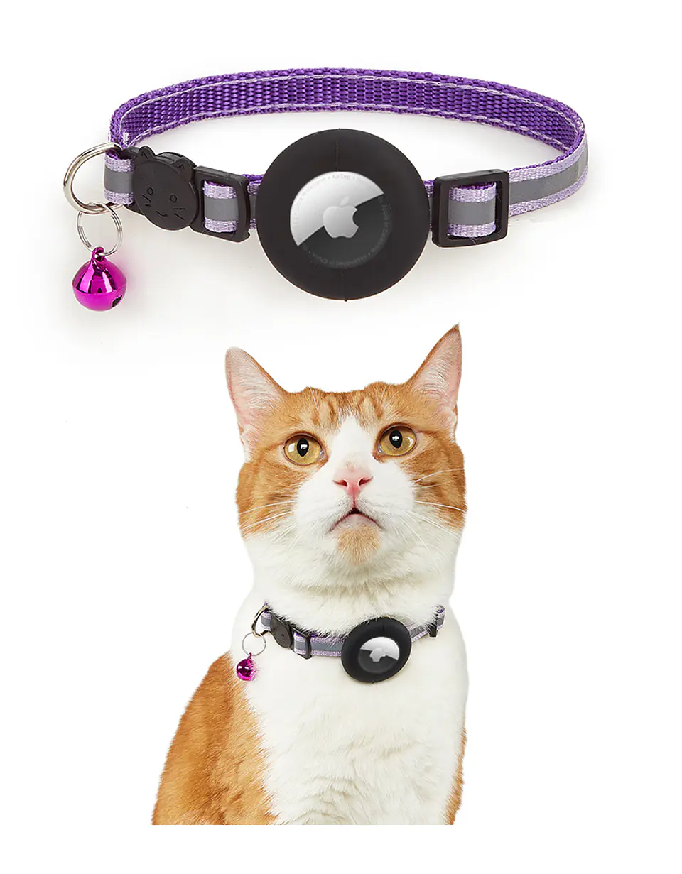 Collar para Mascotas con Soporte para Smart Tag (gps) 12