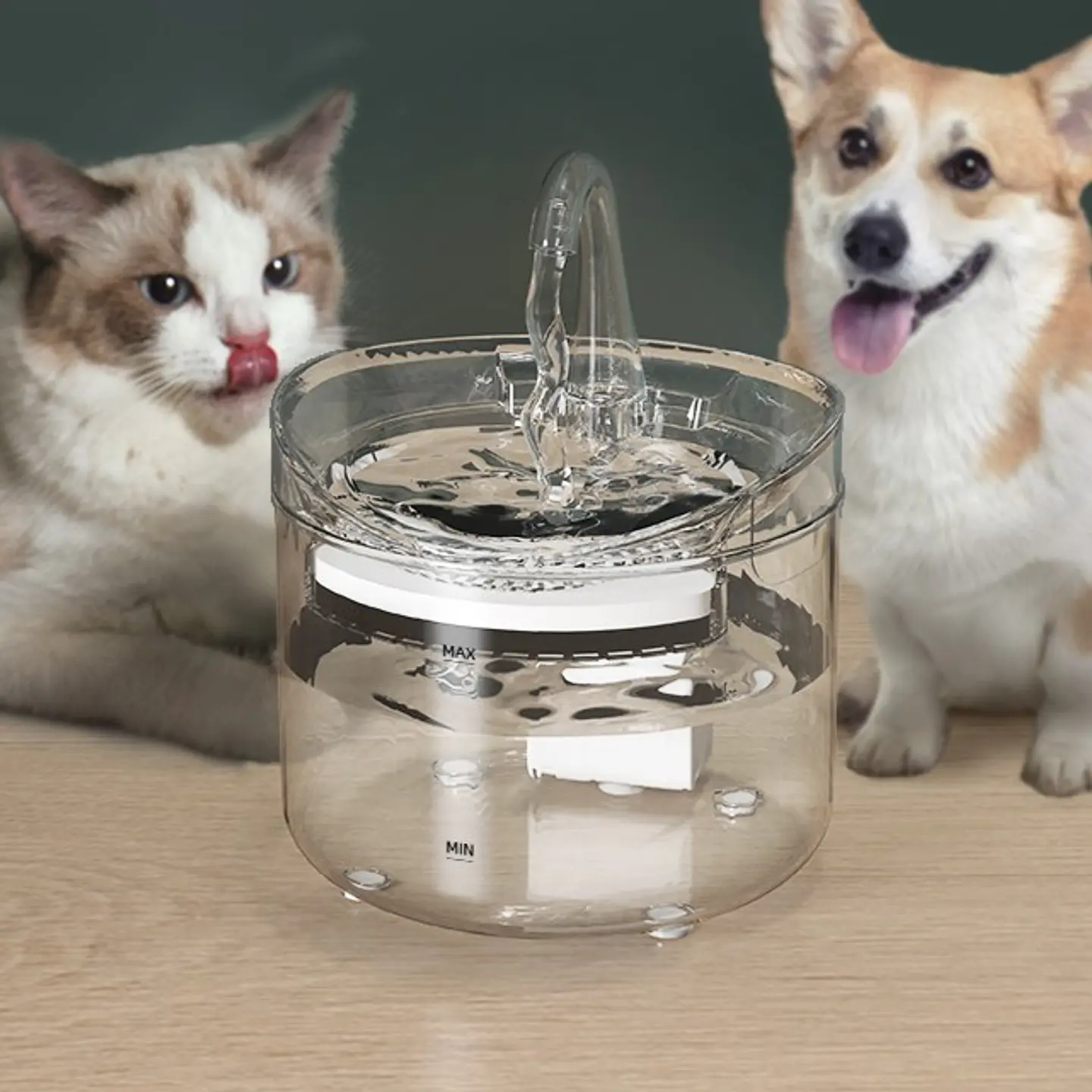 Fuente de Agua para Mascotas con Filtración de 4 Etapas 2