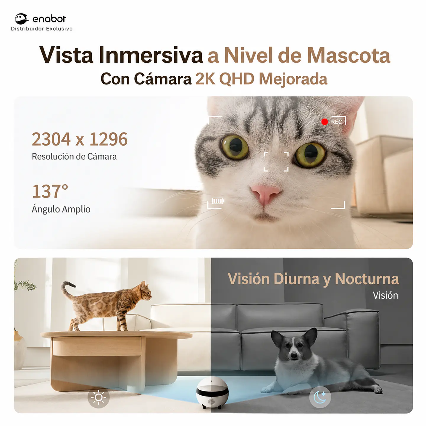 Robot Inteligente Enabot EBO ROLA Mini 3