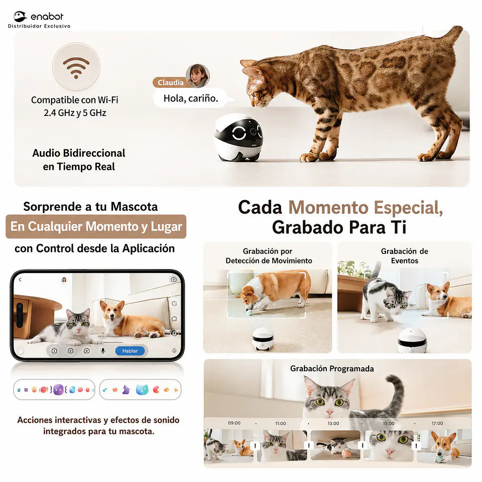 Robot Inteligente Enabot EBO ROLA Mini 5