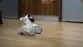 Robot LOONA - Mascota robot inteligente - Miniatura 2