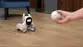Robot LOONA - Mascota robot inteligente - Miniatura 3