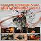 Herramienta Multifuncional de seguridad 4-1 - Miniatura 2