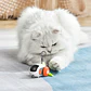 Juguete Interactivo Rodante para Mascotas con Control Remoto - Miniatura 9