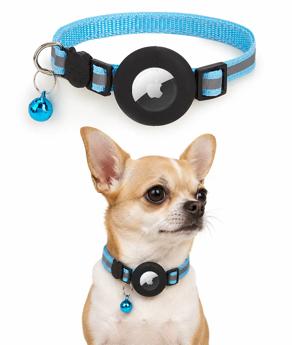 Collar para Mascotas con Soporte para Smart Tag (gps) 1