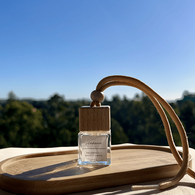 Aromatizador de Auto 1