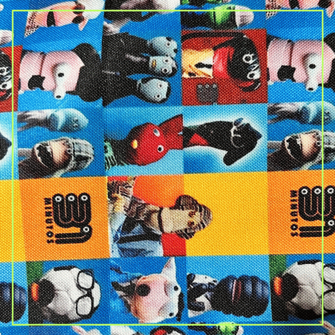 Set Bolsa de Tela + Individual para Colación Jardín Infantil Personalizado 3