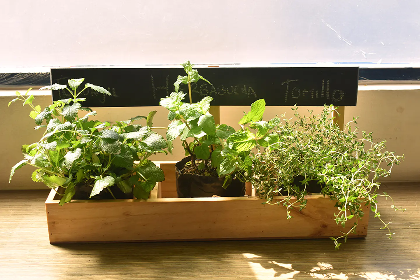 Jardinera Huerta Casa 3 Módulos En Pino Con Tablero De Tiza  2