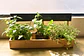 Jardinera Huerta Casa 3 Módulos En Pino Con Tablero De Tiza  - Miniatura 2