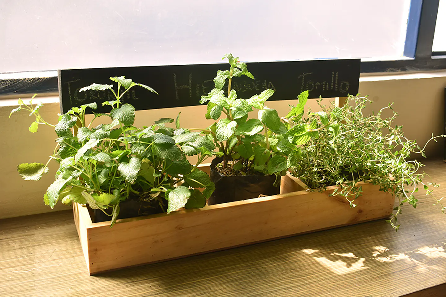 Jardinera Huerta Casa 3 Módulos En Pino Con Tablero De Tiza  3