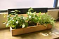 Jardinera Huerta Casa 3 Módulos En Pino Con Tablero De Tiza  - Miniatura 3