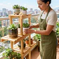 Jardinera Tipo Árbol Mediana 120 Cm En Pino - Miniatura 6