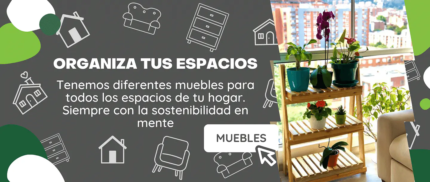 Nuevo diseño