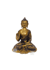 Buda Meditando en Bronce  11,5" VDQ21-199 1041