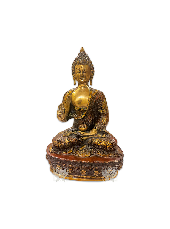 Buda Meditando en Bronce  13