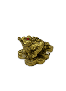 Rana de 3 pata chica JI16-174/JI24-001