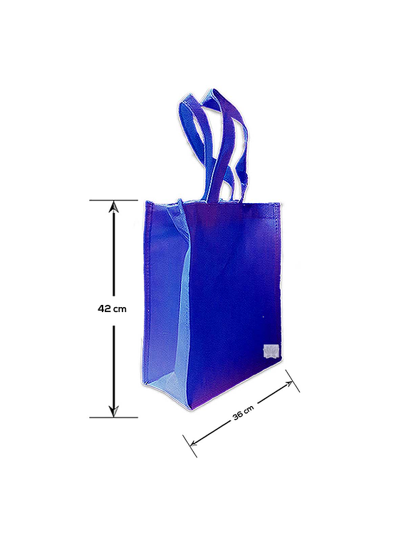 Bolsa Eco. Fuelle y Cierre 36 x 15 x 42Cm 