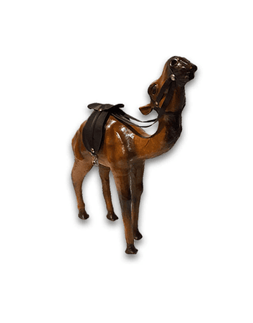 Camello de Cuero 12