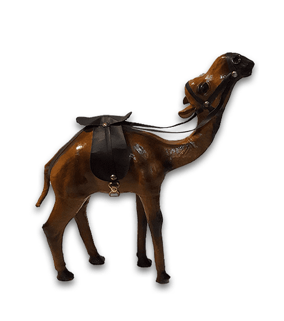 Camello de Cuero 12"