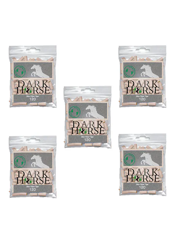 Filtro DH Slim Bio 600uni ( Pack 5 Bolsas de 120 )