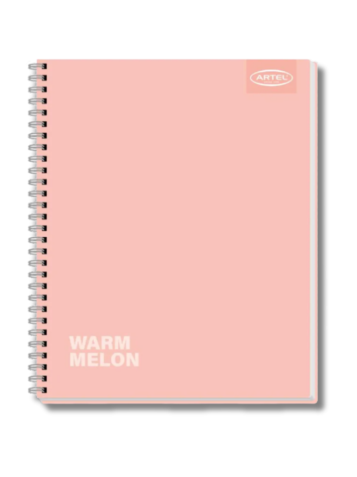 CUADERNO TAMAÑO UNIVERSITARIO MATEMÁTICAS 7 MM DE 100 HOJAS 3