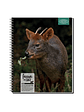 CUADERNO UNIVERSITARIO 100 HOJAS 7MM ANIMALES DE CHILE - Miniatura 2