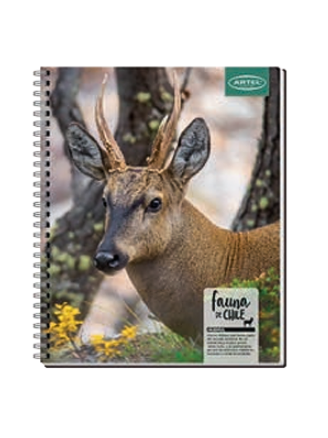 CUADERNO UNIVERSITARIO 100 HOJAS 7MM ANIMALES DE CHILE 3