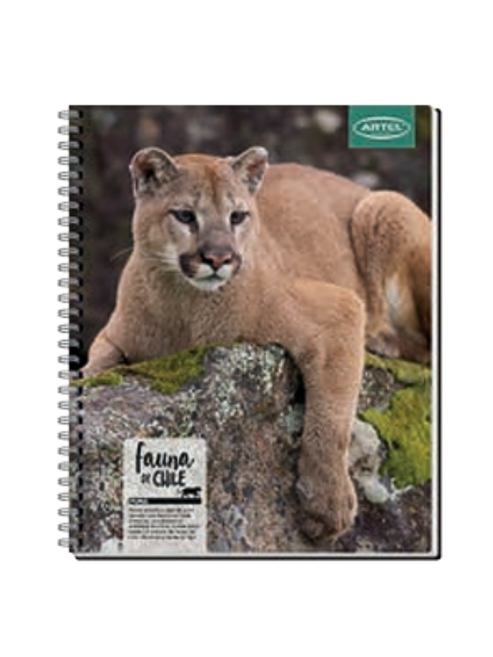 CUADERNO UNIVERSITARIO 100 HOJAS 7MM ANIMALES DE CHILE 4