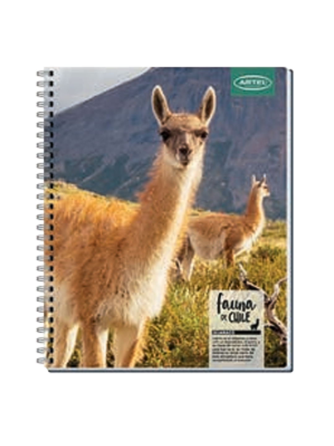 CUADERNO UNIVERSITARIO 100 HOJAS 7MM ANIMALES DE CHILE 5