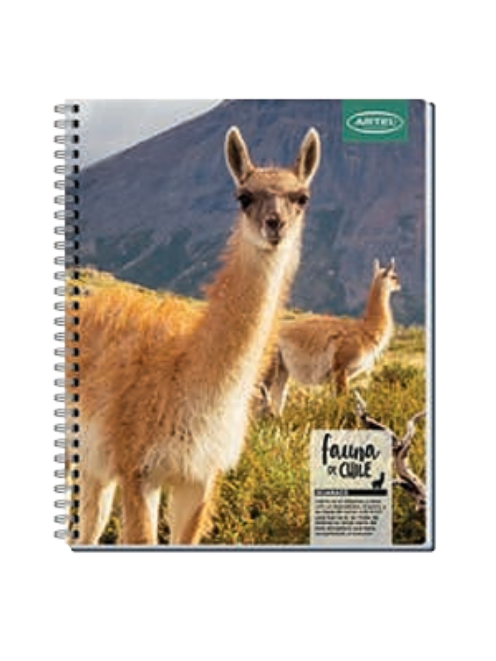 CUADERNO UNIVERSITARIO 100 HOJAS 7MM ANIMALES DE CHILE 5